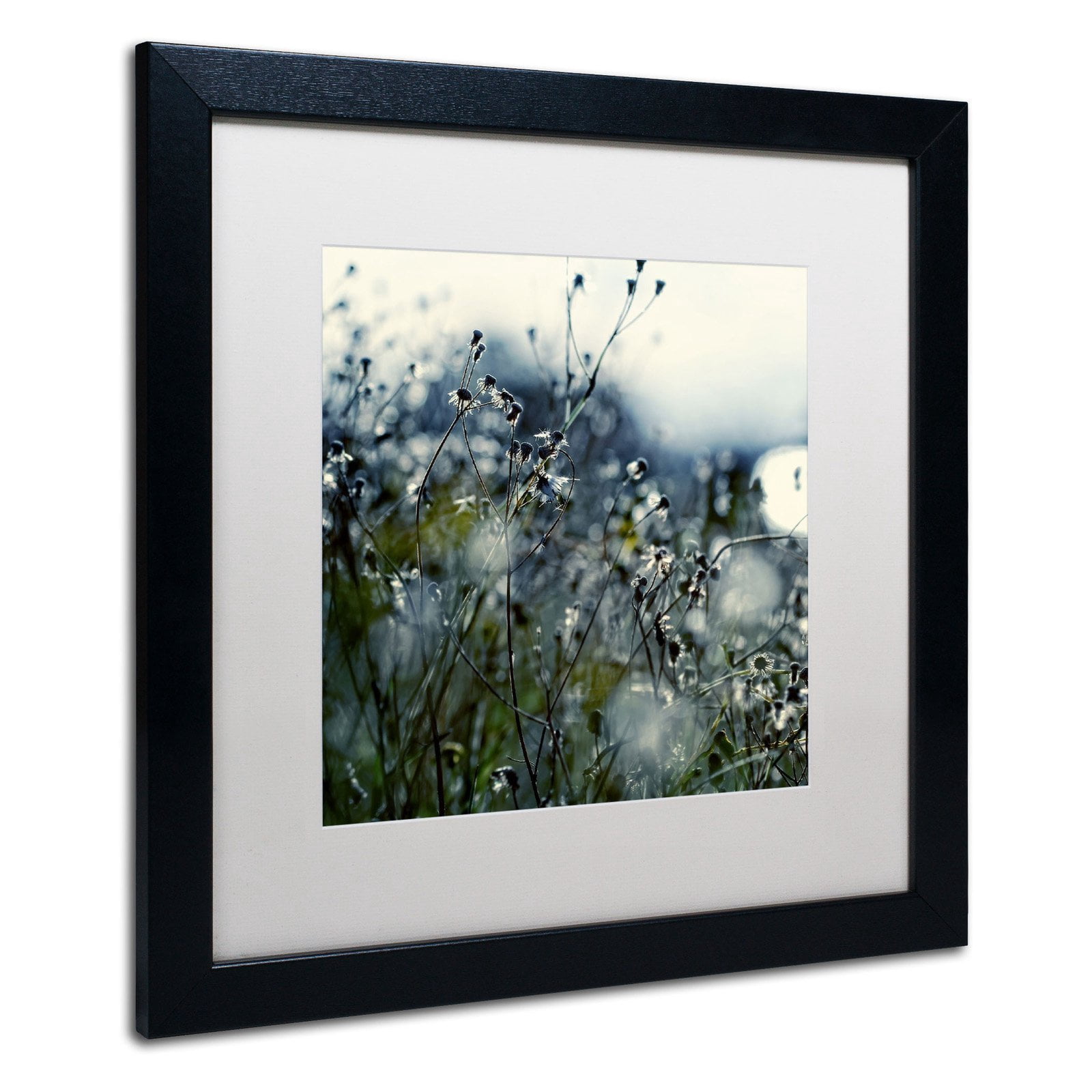 Trademark Fine Art "In Silence" Canvas Art by Beata Czyzowska Young, White Matte, Wood Frame