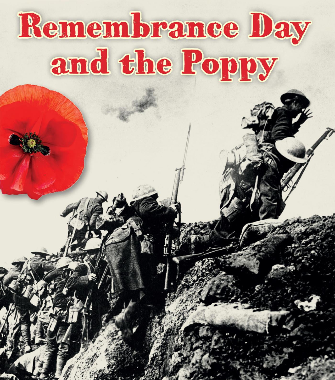 Important Events in History The Remembrance Day and the Poppy