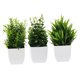 thumbnail image 5 of CRAFTHROU 3Ud Adorno Vegetal Artificial En Maceta Verde Para Espacio De Trabajo Y Hogar Moderno, 5 of 8