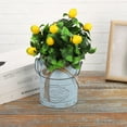 thumbnail image 6 of Metal Planter Flowers Vase Leakproof Retro Garden Indoor Outdoor Durable Tin Bucket, 6 of 19