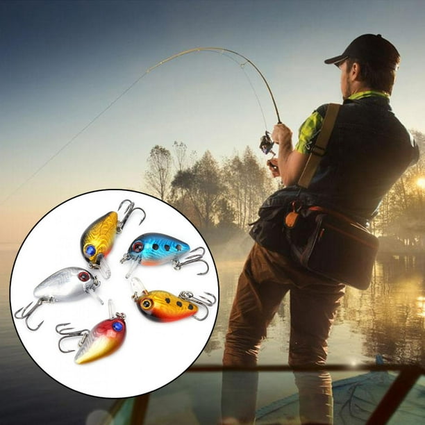 Ymiko minnow lure, crankbait,5pcs 3cm 3D Holographic Eyes Mini Fishing  Lures Floating Micro Bass Bait Crankbait Treble Hook 