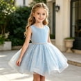 thumbnail image 2 of FYDUU Birthday Dress for Toddler Girls Sequins Pageant Tulle Tutu Dresses Bowknot Princess Gown Formal Wedding Flower Girl Dress 12-18 Months, 2 of 9