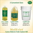 thumbnail image 6 of Baar Lawn Mole Castor Oil, MolEvict, Helps Rid Lawns & Gardens of Pesky Moles & Voles – 32 Ounces, 6 of 7