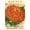 Unframed, variant on Art.com Zinnia Seed Packet Art Print, Black Frame Wall Art, 21" x 29"