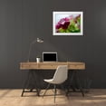 thumbnail image 3 of Hunt, Gillian 14x12 White Modern Wood Framed Museum Art Print Titled - Glorious in Red I, 3 of 4