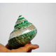 thumbnail image 1 of Jade Turbo Banded Shells&Hermit Crab Sea Shells,Turbo Shells 3-1/2"~4" Inch, 1 of 4