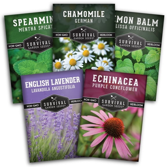 Herbal Tea Seeds 5 Pack - Lavender, Mint, Echinacea, Lemon Balm, Chamomile - Full Sun Perennial Herb