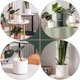 thumbnail image 3 of OULII 3Ud Maceta Plástica Para Plantas Con Material Duradero Ideal Para Uso Interior, 3 of 6