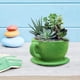 thumbnail image 4 of Cajas de ventana de plantas de flocado hechas a mano, contenedores de plantas de flores pequeñas, flores flocadas taza de té Sharpla macetas, 4 of 8