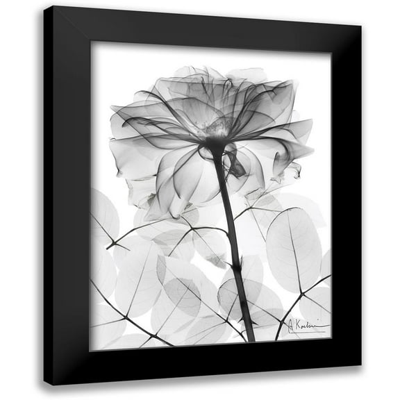 Koetsier, Albert 12x14 Black Modern Framed Museum Art Print Titled - Rose Supreme 1