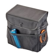 High Road Carganizer Car Storage Organizer with Lid - Multipurpose Small Car Storage Box, Auto Console or Trunk Organizer
