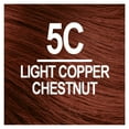 thumbnail image 2 of Naturtint 5C Light Copper Chesnut Permanent Hair Color, 6 Pack (Packaging May Vary), 2 of 7