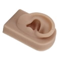 thumbnail image 3 of Fake Ear Model, Soft Silicone Human Ear Model Right Ear Flexible Multi Purpose  For Earrings Display For Acupuncture Practical Training Light Complexion,Dark Complexion,Brown, 3 of 8
