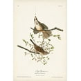 thumbnail image 2 of Audubon, John James 17x24 Black Ornate Wood Framed with Double Matting Museum Art Print Titled - Pl. 25 Song Sparrow, 2 of 4