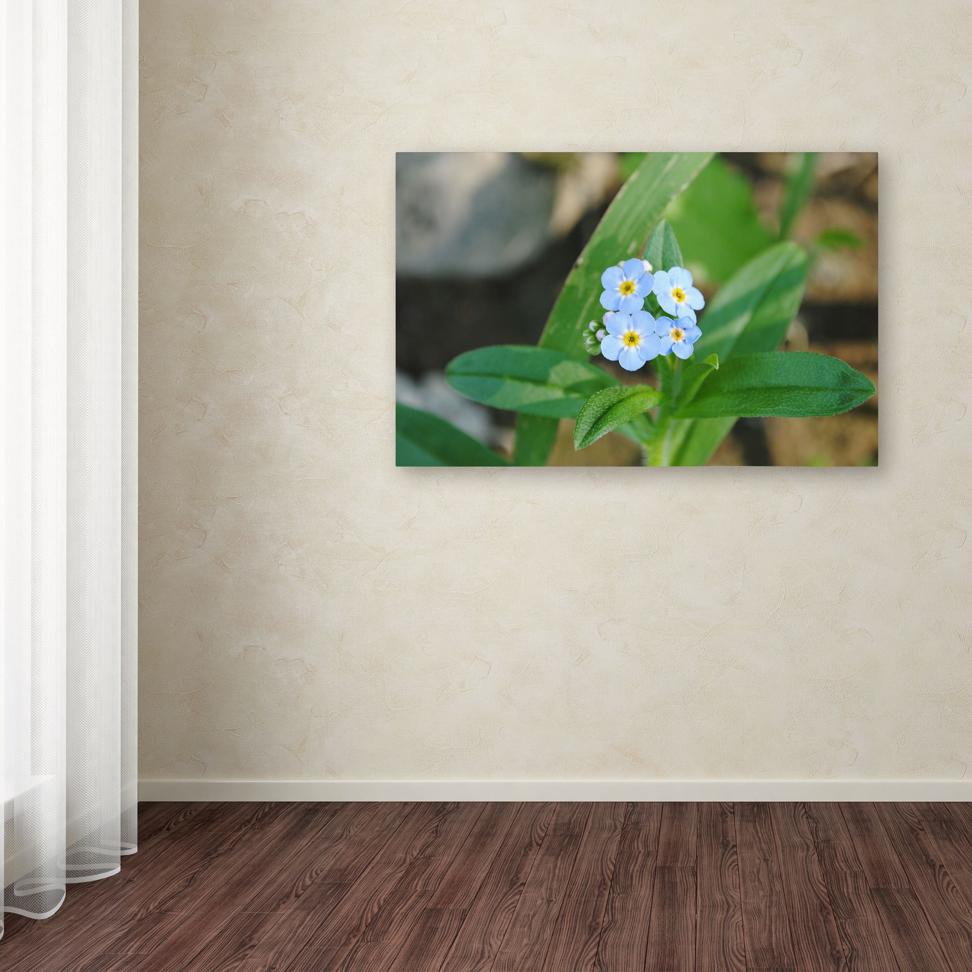 Trademark Fine Art "Dignified Characteristic" Canvas Art by Monica Fleet