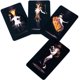 thumbnail image 3 of Cartas del Tarot True Black TUNC baraja de tarot atemporal, 3 of 5