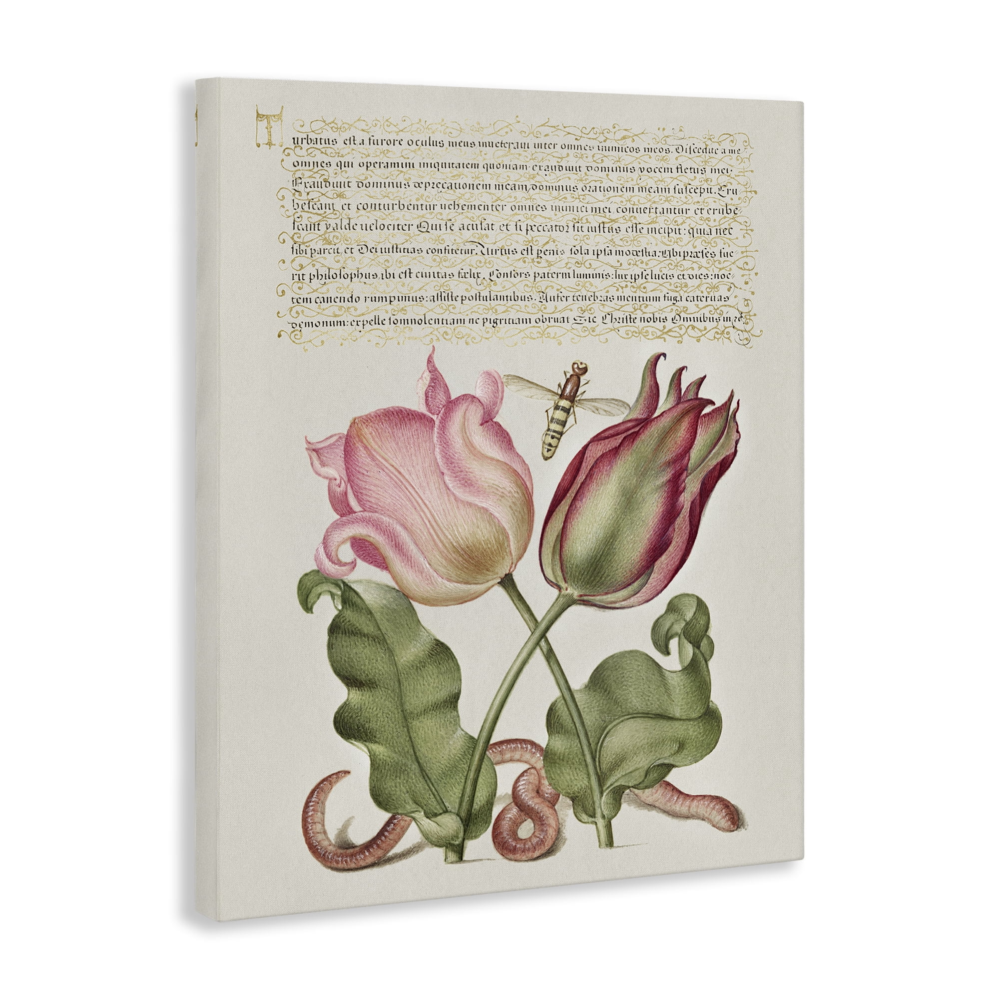 Stupell Industries Tulips & Insects Antique Text & Numbers Painting Wrapped Canvas Art Print Wall Art, 24 x 30