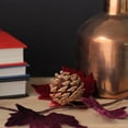 thumbnail image 2 of Northlight 49" Unlit Maple Leaf and Pine Cone Christmas Garland, 2 of 3
