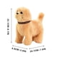 thumbnail image 3 of Juguete interactivo Froplay para perro que camina y ladra con música | Simulación realista de mascota para niños | Material de felpa suave con detección táctil inteligente, 3 of 5