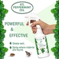 thumbnail image 3 of Minty Rodent Repellent, Natural 5% Peppermint Oil Spray for Mice, Rats, Chipmunks and Rodents, Indoor and Outdoor, House and Car Engine Use, 16 fl oz Pint, 3 of 6
