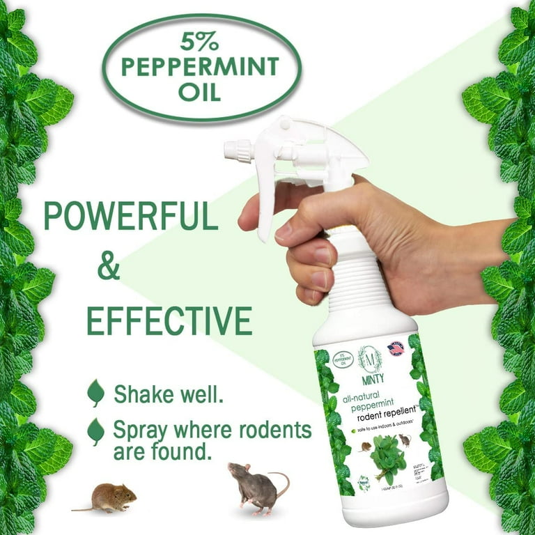 Mouse Repellent Home Remedy | visitchile.cl