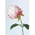thumbnail image 3 of Allstate Floral & Craft FSP701-PK 18 in. Silk Peony Bud Flower Spray - Pink, 3 of 4