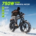 thumbnail image 6 of HOVSCO Electric Bike for Adults, 750W Motor, 60 Miles Range, 20'' Fat Tire E-Mountain Bike, 7-Speed E-Bike with Full Suspension UL2849, 6 of 8