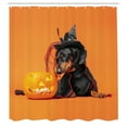 thumbnail image 2 of Ambesonne Funny Shower Curtain, Dachshund with Pumpkin Print, 69"Wx70"L, Marigold Dark Rust and Grey, 2 of 4