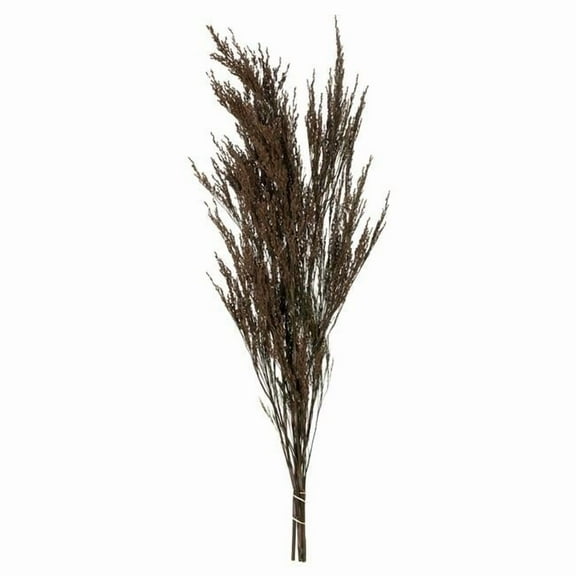 Vickerman 36-40" Green Reed Grass -Includes 8-9 oz per Bundle. Preserved