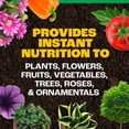 thumbnail image 4 of Pennington WTR SOL PLNT FD 20-10-20 1.5 LB, 4 of 11