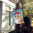 thumbnail image 2 of Carolines Treasures CK2489CHF Christmas Lights Collie Flag Canvas House Size  Large multicolor, 2 of 4
