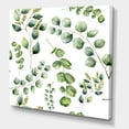 thumbnail image 3 of Designart ' Green Eucalyptus Plant Branches III ' Traditional Canvas Wall Art Print, 3 of 3