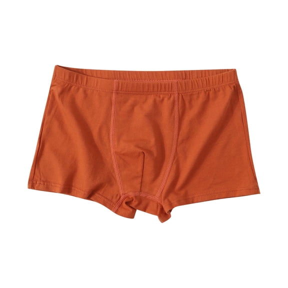 Dvprdro Summer Solid Underwear Shorts Boys 1 Pairs Stretch Breathable Elastic Waist Soft Cotton Feel