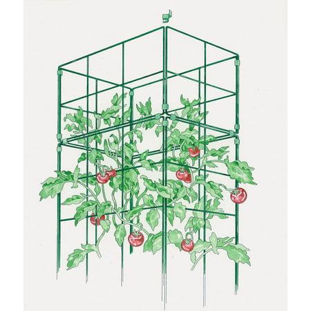 Cage Extension for Tomato Success Kit