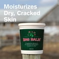 thumbnail image 2 of BAG BALM ORIGINAL SKIN MOISTUR BAG ABBPBAG, 2 of 6