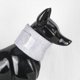thumbnail image 5 of Breathable Dog Collar Post Surgery Cat Collar Promotes Wound Healing Easy to Wear for Dogs and Cats Neck Protection Recovery Rose S, 5 of 5