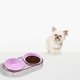 thumbnail image 4 of Estilo Transparente Pet Double Bowl Slip Cat and Dog Food Bowl Water Bowl Food Grade Friendly Material High Appearance Double Grid Food Bowl, 4 of 6