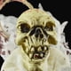 thumbnail image 3 of Horrible Man Figure Scary Skull Doll Accesorios de de Halloween para niños, 3 of 9