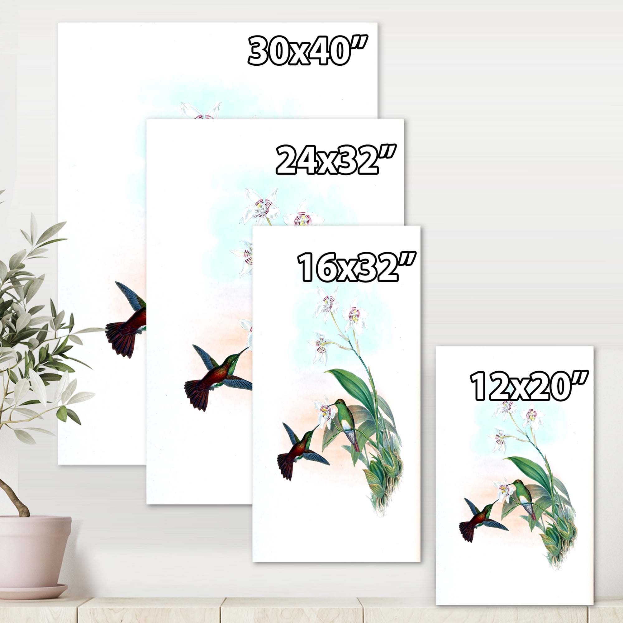 Designart ' Historic Hummingbird Flying To A Flower ' Traditional Canvas Wall Art Print