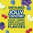 thumbnail image 3 of Popsicle Jolly Rancher Colors from Natural Sources Popsicle Ice Pops, 18 Count, 3 of 7