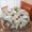 Pioneer Flower Floral-1, variant on Pioneer Flower Floral Print Pattern Round Tablecloth 60 X 60 Inch, Wrinkle Resistant Wipeable Table Cloth for Kitchen Dining Picnic Patio Party