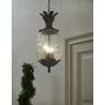 thumbnail image 6 of 7516BC Acclaim Lighting Lanai - Three Light Outdoor Hanging Lantern - 10 Inches Wide by 21 Inches High-Black Coral Finish, 6 of 9