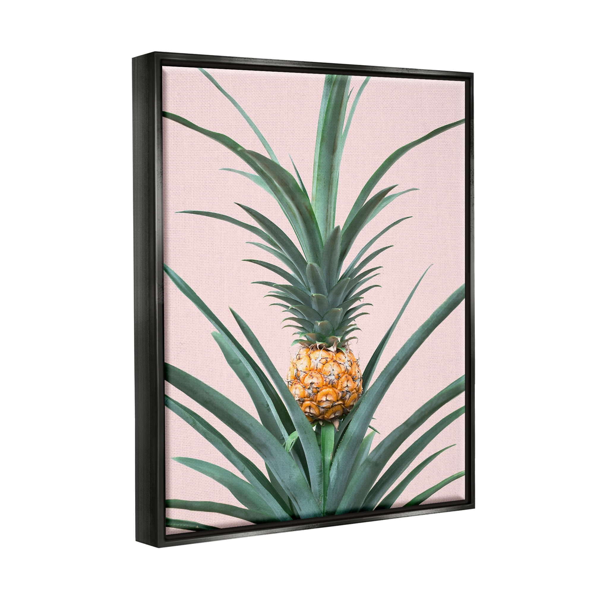 Stupell Industries Pineapple Plant on Pink Food & Beverage Photography Black Floater Framed Art Print Wall Art, 17 x 21