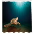thumbnail image 3 of Ambesonne Underwater Shower Curtain, Green Turtle Sunbeam, 69"Wx84"L, Pale Brown Dark Blue, 3 of 3