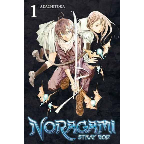 Noragami: Stray God: Noragami: Stray God 1 (Series #1) (Paperback)