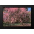 thumbnail image 2 of DeLuca, Pat 14x11 Black Modern Framed Museum Art Print Titled - Spectacular Message, 2 of 5