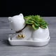 thumbnail image 5 of Planta Muebles de oficina Jardín Animal Gato abstracto + Planta , Soledad Maceta suculenta, 5 of 10
