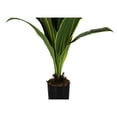 thumbnail image 6 of Monarch Artificial Plant, 47 Tall, Dracaena Tree, Indoor, Faux, Fake, Floor, Greenery, 6 of 6