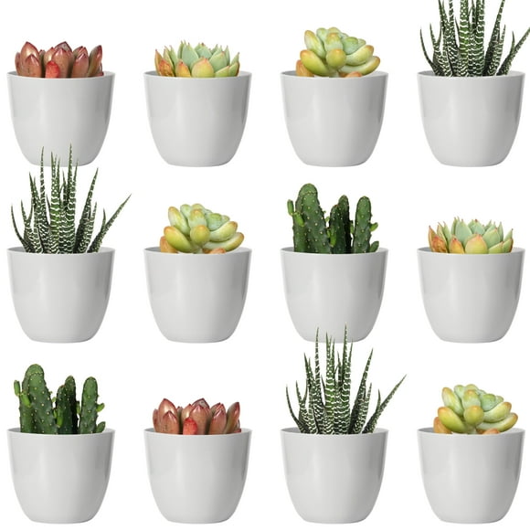 Youngever Lot de 24 Petits Pots en Plastique de 5 cm, Pots pour Plantes d'Intérieur, Pot de Jardinage Gris avec Drainage - Aucune Plante Incluse (Moderne)