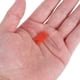 thumbnail image 2 of 160pcs Colored Map Push Pins For Corkboard Travel Planning Pin Map Marking Tools School Projects Supply Office Use Thumbtack, 2 of 3